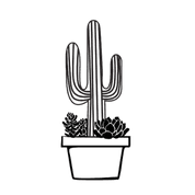 Cacti & Succulents