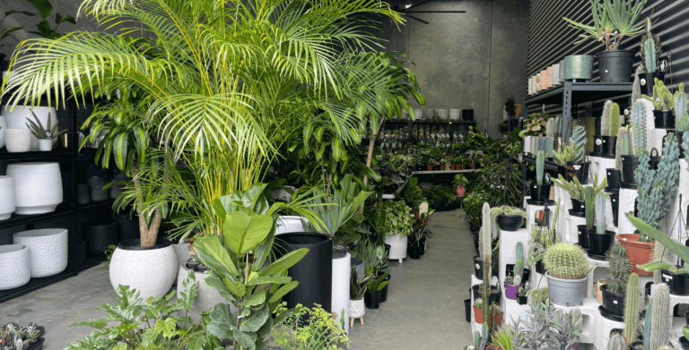 Warragul Indoor Plants Store