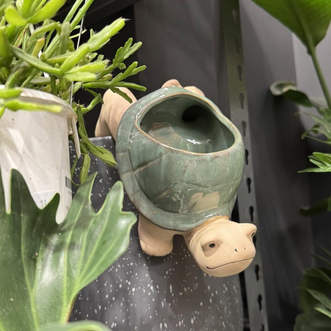 Turtle Pot Hanger